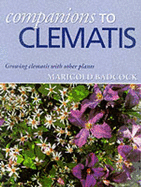 Companions to Clematis: Growing Clematis with Other Plants