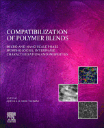 Compatibilization of Polymer Blends: Micro and Nano Scale Phase Morphologies, Interphase Characterization, and Properties