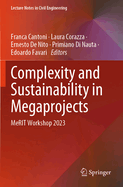 Complexity and Sustainability in Megaprojects: Merit Workshop 2023