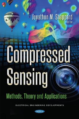 Compressed Sensing: Methods, Theory and Applications - Sheppard, Jonathon M (Editor)