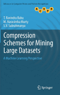 Compression Schemes for Mining Large Datasets: A Machine Learning Perspective