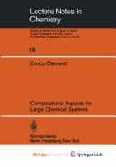 Computational Aspects for Large Chemical Systems