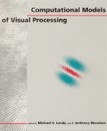 Computational Models of Visual Processing
