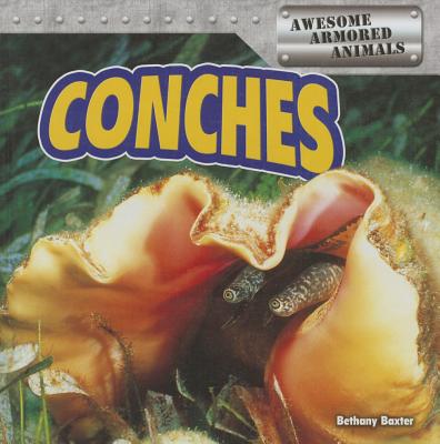 Conches - Baxter, Bethany
