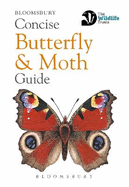 Concise Butterfly and Moth Guide