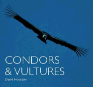 Condors and Vultures