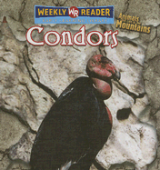 Condors