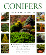 Conifers