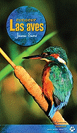 Conocer Las Aves