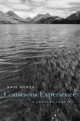 Conscious Experience: A Logical Inquiry - Gupta, Anil