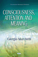 Consciousness, Attention and Meaning