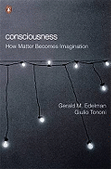 Consciousness: How Matter Becomes Imagination