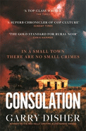 Consolation: Constable Hirsch Mysteries 3