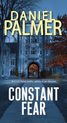 Constant Fear - Palmer, Daniel