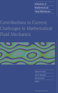 Contributions to Current Challenges in Mathematical Fluid Mechanics