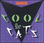 Cool for Cats