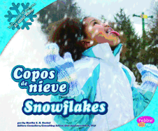 Copos de Nieve/Snowflakes