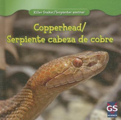 Copperhead/Serpiente Cabeza de Cobre - Braidich, Victoria