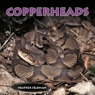 Copperheads - Feldman, Heather