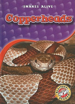Copperheads - Christian, David (Narrator), and Sexton, Colleen