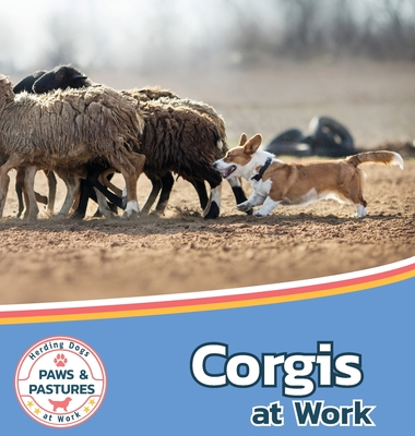 Corgis at Work - Lakes, Sabrina