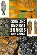 Corn and Red Rat Snakes