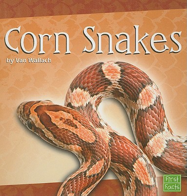 Corn Snakes - Wallach, Van