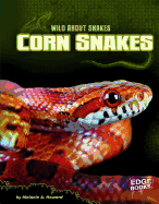 Corn Snakes