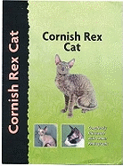 Cornish Rex Cat