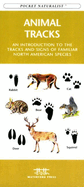 Costa Rican Wildlife: An Introduction to Familiar Species