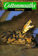 Cottonmouths