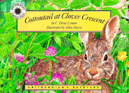 Cottontail at Clover Crescent