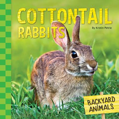 Cottontail Rabbits - Petrie, Kristin