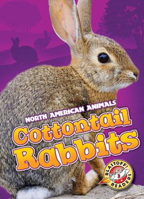 Cottontail Rabbits - Leighton, Christina