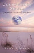 Courageous Souls: Do We Plan Our Life Challenges Before Birth?