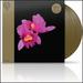 Orchid