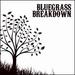 Bluegrass Breakdown