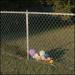 Bummer Year (Violet)