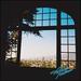 Always Tomorrow [Vinyl]