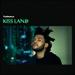 Kiss Land [2 Lp][Seaglass]