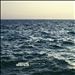 Following the Sea
