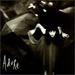 The Smashing Pumpkins-Smashing Pumpkins: Adore