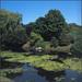 Terraform