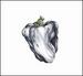 White Pepper
