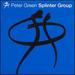 Peter Green Splinter Group