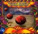 Desert Roses and Arabian Rhythms