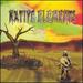 Native Elements