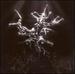The Silver Tree