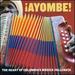 Ayombe! : the Heart of Colombia's M�sica Vallenata