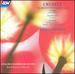 Grand Concerto 2 / Concertino